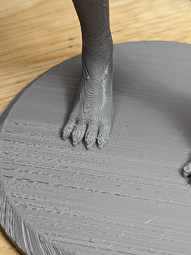 PXL_20230509_102414926