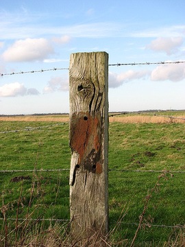 fence_post